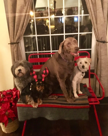 Christmas Decorating